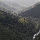 Curso del río Cabrera