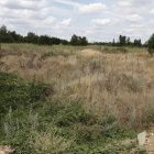 Los terrenos donde se instalarán las plantas y las canalizaciones de la red de calor.