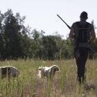 La media veda levantará el telón el 15 de agosto. Y con perspectivas en clave positiva.