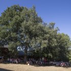 Versos a Oliegos en Villarmeriel.