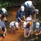 La Fundación Cultura minera de Torre del Bierzo organiza un bateo de oro en el río Tremo en una edición pasada