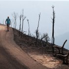 Un caminante ayer miércoles en el acceso lleno de ceniza que da hacia el alto del mirador de Orellán.