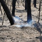 Detalle del humo que salía este jueves de una de las zonas quemadas por el fuego.