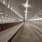 Los lineales de la primera fase de Granjas Camis.