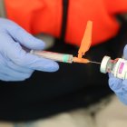 Muchos bercianos que optan por destinos que exige una correcta prevención.