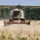 Las cifras del sector femenino en la agricultura han ido creciendo en los últimos años.