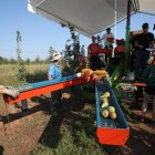 Recolectores de pera conferencia, ayer sábado en la zona de Carracedelo.