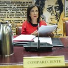 Robles, en su comparecencia.