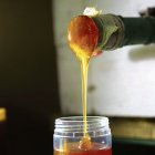 La transformación de la miel en polvo resuelve limitaciones logísticas y técnicas de la miel líquida. santiago carbone