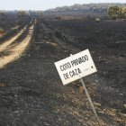 Una zona arrasada al suroeste de León.
