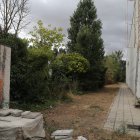 Zona aproximada donde ha aparecido el cuerpo sin vida de una mujer de 67 años, desaparecida desde el pasado 4 de agosto, en las traseras del campus universitario de La Yutera, en Palencia.