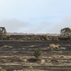 Paisaje del incendio en Chana de Somoza