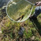 La temporada de pesca tiene aún un mes por delante.