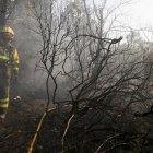 Varios bomberos forestales.