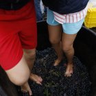El pisado de uva gana adeptos cada año