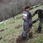 Entre las propuestas la plantación de especies no pirófitas.