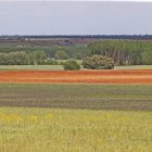 La mayoría del terreno se dedicará a cultivo.