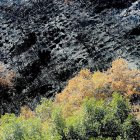 Tierra quemada.