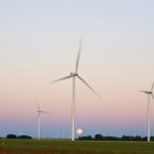 Un parque eólico en la comunidad autónoma.