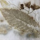 Una de las obras de la exposición.