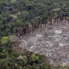 Terreno de selva deforestado en el Parque Nacional Natural Tinigua.
