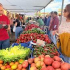 Feria del Pimiento Morrón de Fresno de la Vega