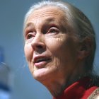 Foto de archivo de la etóloga británica Jane Goodall, EPA/STF.