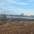 Los Brif de Tabuyo del Monte trabajan en el lugar donde se ha originado el foco.