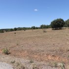 Terrenos donde se ubicarán el futuro laberinto y la zona de cabañas.