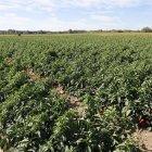 Explotación agraria en Fresno de la Vega.
