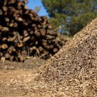 La planta de biomasa utilizará astillas forestales.