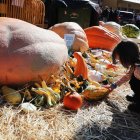 Feria de la Calabaza de Igüeña