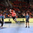 Derrota del Ademar en Suiza ante el Kadetten