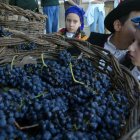 Entre los actos de esta primera edición figura un concurso de pisada de uva para niños.