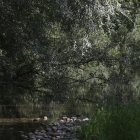 El río Torío a su paso por León.
