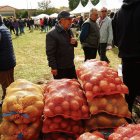 La calidad de la patata de este año es excelente.