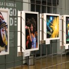 Exposición fotográfica 'Capturados en vivo'.