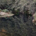 Un recodo del Eria con las aguas negras.