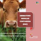 La Junta inicia una campaña informativa para reforzar la vigilancia y prevención de la Dermatosis Nodular Contagiosa.