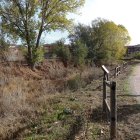 El cauce del Carbosillo está lleno de maleza en sus 6,5 kilómetros de recorrido desde San Andrés a Ferral.