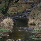 El río Eria, uno de los cauces de la Cabrera que ha bajado con cenizas.