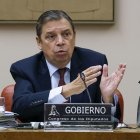 El ministro, durante su comparecencia, esta semana.