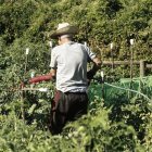 Una persona mayor trabaja en un huerto.