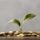 Los demandas sobre el reparto de la financiación autonómica siguen aunando los criterios y exigencias de Galicia y Castilla y León.