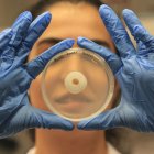 El Grupo de Investigación de Fitopatología de la Universidad de Alicante (UA) lidera un proyecto.