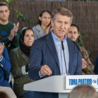 El presidente del PP, Alberto Núñez Feijóo.