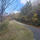 Desbroce de la carrtera efectuado por la brigada de Obras.