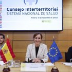 Reunión del Consejo Interterritorial de Salud, ayer.