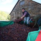 Preparación en un remolque para comenzar con el proceso del pisado de la uva.