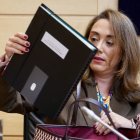 La consejera presentó esta semana las cuentas.